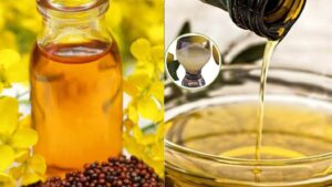 MP में सरसों का तेल बिगाड़ेगा रसोई का बजट, MSP से ₹800 ऊपर दाम पहुंचने से मिलों पर ताला लगने की नौबत