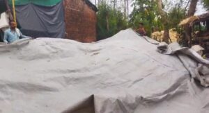 Weather Changes In Pichhore, Heavy Rain And Hailstorm Affect Normal Life – Betul News