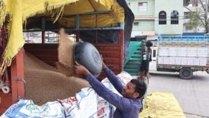 Indore News:इंदौर की मंडियों में गेहूं की खरीदी शुरू, तिलक लगाकर किया किसानों का स्वागत – Indore News Wheat Procurement At Support Price Begins