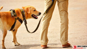 Mp News:इंदौर में टैक्सी चालक ने की खुदकुशी, पुलिस पर लगाए पीटने और भ्रष्टाचार के आरोप; सब-इंस्पेक्टर निलंबित – Mp News: Indore Taxi Driver Ends Life, Blames Police For Beating And Corruption; Cop Suspended