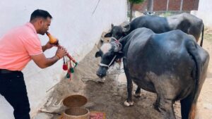 MP में ‘भैंस के आगे बीन’ बजाकर संविदा स्वास्थ्य कर्मचारियों का अनोखा प्रदर्शन, स्वास्थ्य सेवाएं प्रभावित, मरीजों की बढ़ीं मुश्किलें