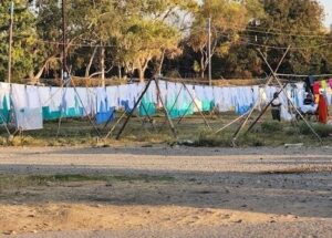 Indore News:निगमायुक्त ने दी थे कर्बला मैदान में मेले की अनुमति, मेयर ने वर्जुअल बैठक कर कर दी अनुमति निरस्त – Indore News: The Municipal Commissioner Had Granted Permission For A Fair At Karbala Ground, But The Mayor Rev