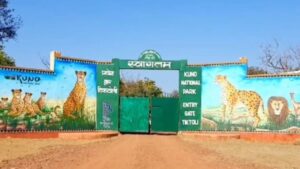 Mp News: President To Visit Kuno On June 21, Stay Overnight At Sanctuary, Security Arrangements Tightened – Madhya Pradesh News